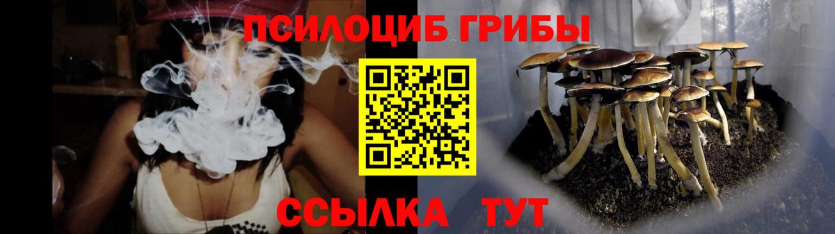 Псилоцибиновые грибы мицелий Советский